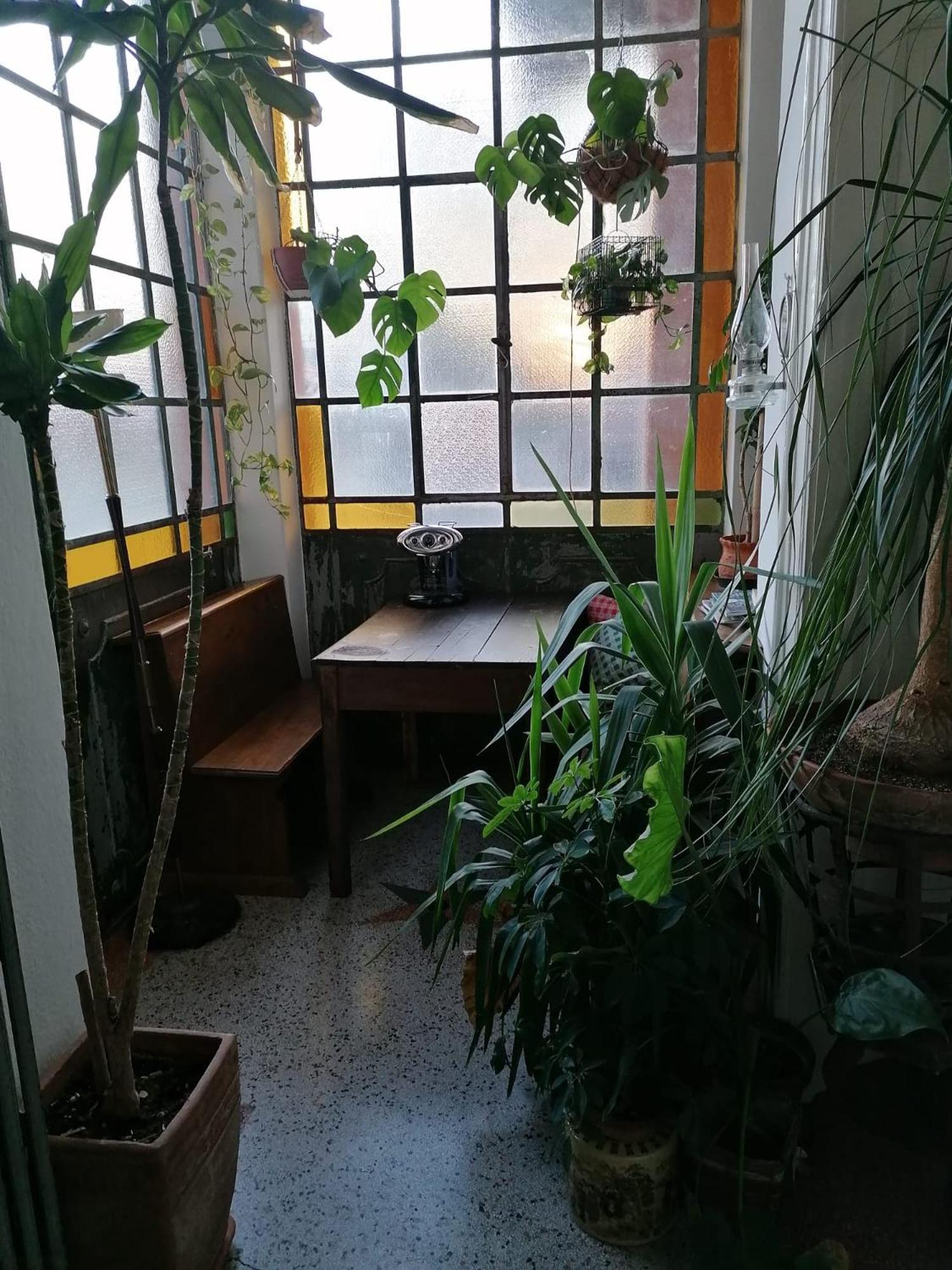 The Liberty Terrace Bed and Breakfast Ούντινε Εξωτερικό φωτογραφία